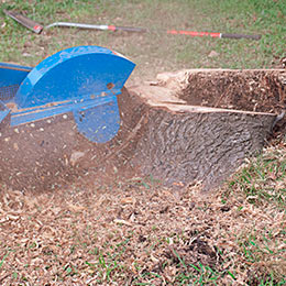 Stump Grinding